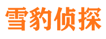 河北市私家侦探